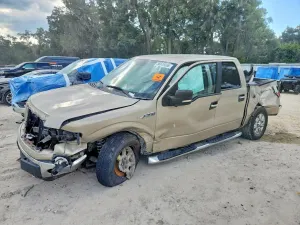 Ford F-150 4.6L 8 2010