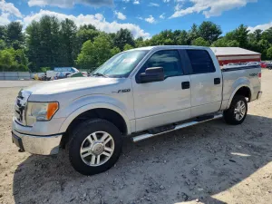 Ford F-150 4.6L 8 2009