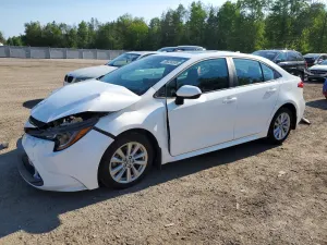 Toyota Corolla 2.0L 4 2024