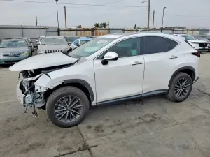 Lexus NX 2.5L 4 2025