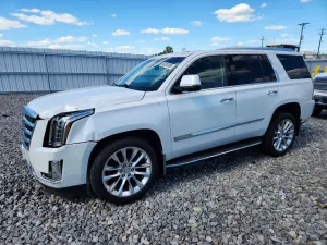 Cadillac Escalade 6.2L 8 2020