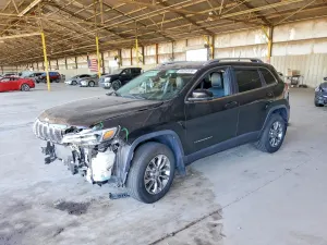 Jeep Cherokee 2.0L 4 2019