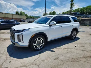 Hyundai Palisade 3.8L 6 2023