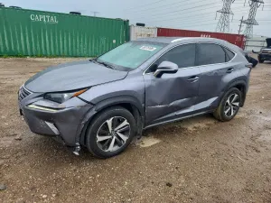 Lexus NX 2.0L 4 2019