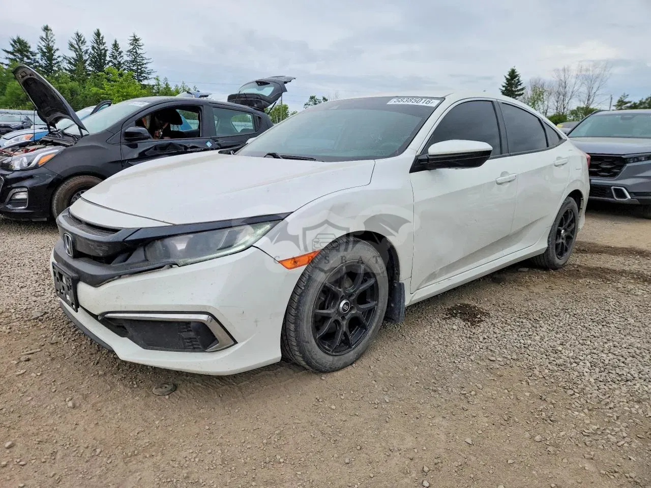 Honda Civic 2.0L 4 2019