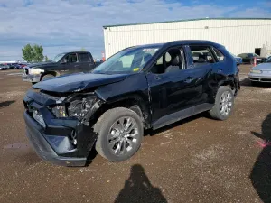 Toyota Rav4 2.5L 4 2024