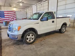 Ford F-150 4.6L 8 2009