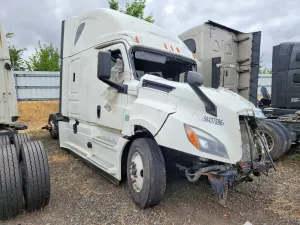Freightliner Cascadia 14.8L 6 2018