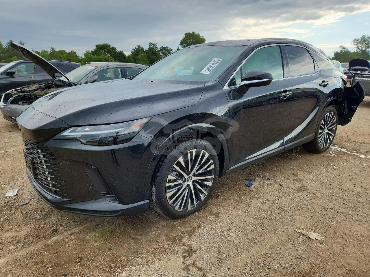 Lexus RX 2.4L 4 2024