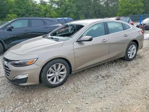 Chevrolet Malibu 1.5L 4 2023