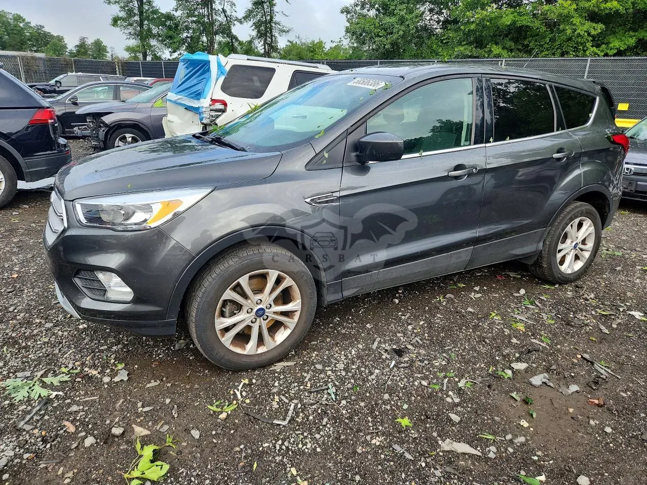 Ford Escape 1.5L 4 2019