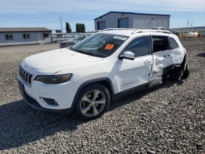 Jeep Cherokee 2.0L 4 2019