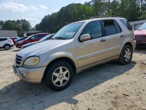 Mercedes-Benz ML 5.0L 8 2002