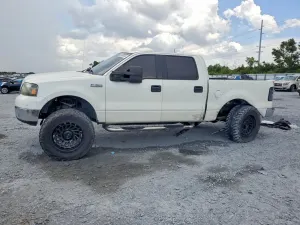 Ford F-150 4.6L 8 2004