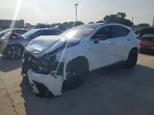 Lexus NX 2.4L 4 2024