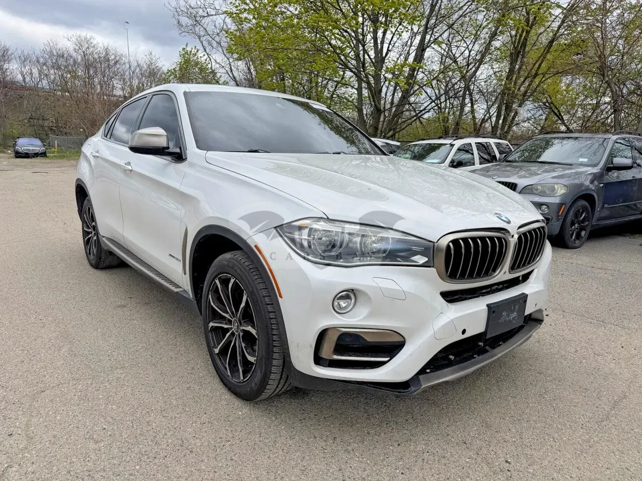 BMW X6 4.4L 8 2017