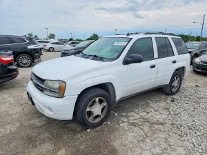 Chevrolet Trailblazer 4.2L 6 2007