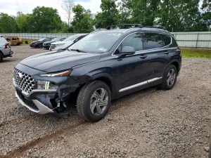 Hyundai Santa Fe 2.5L 4 2022