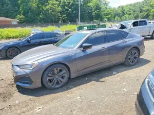 Acura TLX 2.0L 4 2022