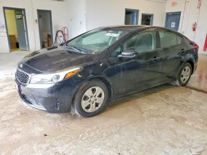 Kia Cerato / Forte / K3 2.0L 4 2017