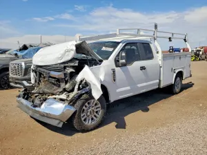 Ford F-250 6.2L 8 2019