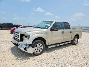 Ford F-150 4.6L 8 2009