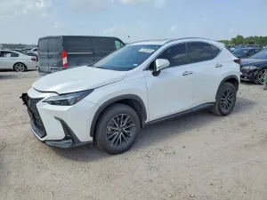 Lexus NX 2.5L 4 2024