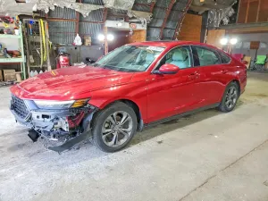 Honda Accord 1.5L 4 2024