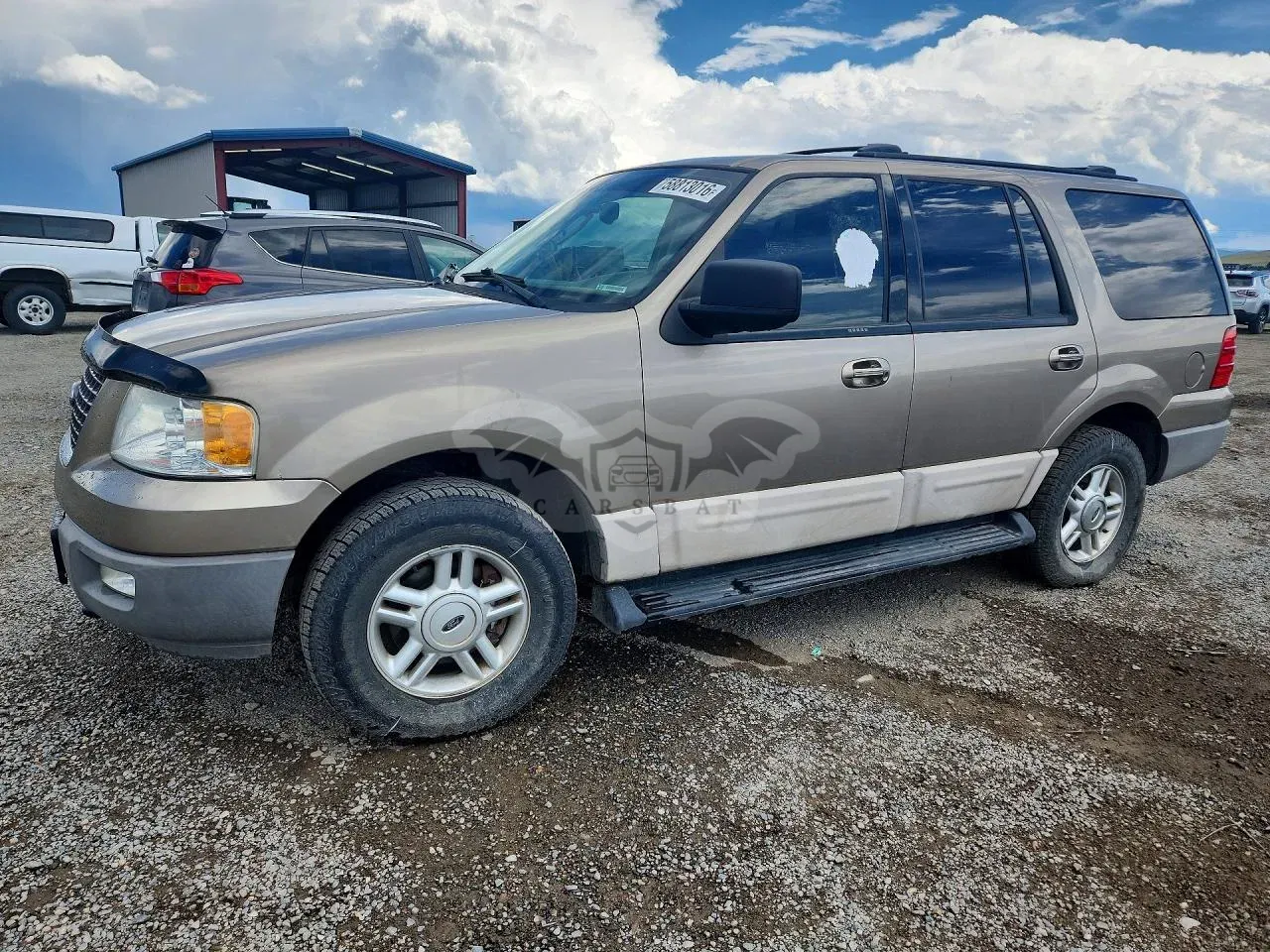 Ford Expedition 5.4L 8 2003