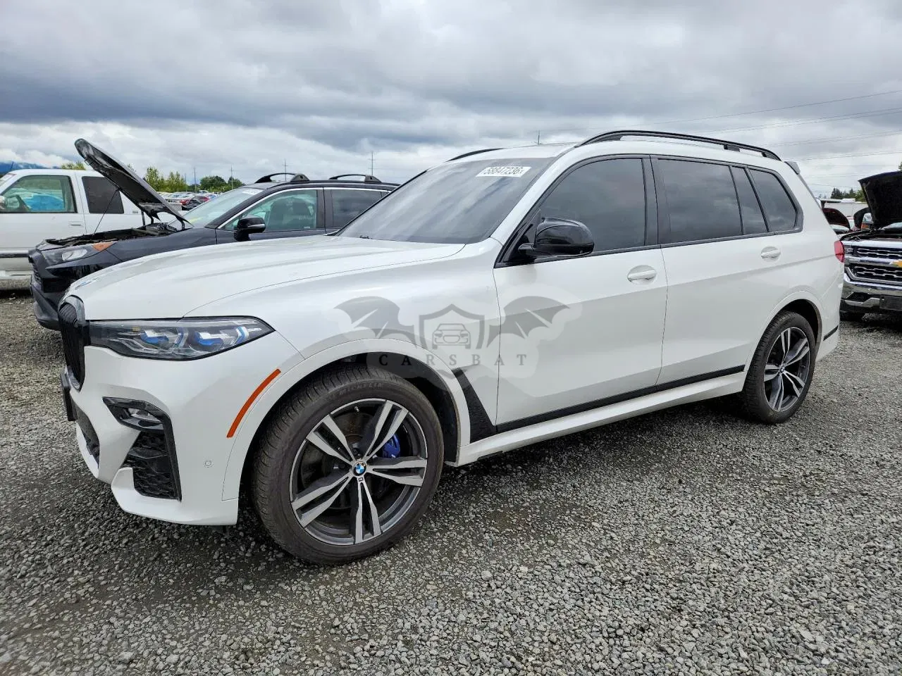 BMW X7 4.4L 8 2019