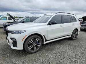 BMW X7 4.4L 8 2019