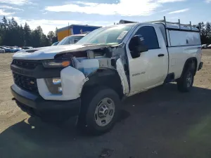Chevrolet Silverado 1500 6.6L 8 2022