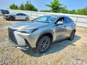 Lexus NX 2.4L 4 2022