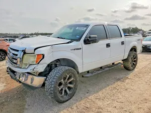 Ford F-150 2009
