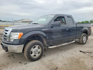 Ford F-150 4.6L 8 2010