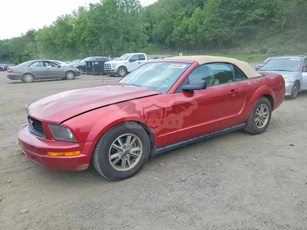 Ford Mustang 4.0L 6 2005
