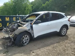Ford Escape 1.5L 3 2025