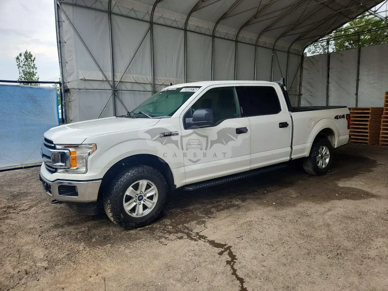 Ford F-150 5.0L 8 2019