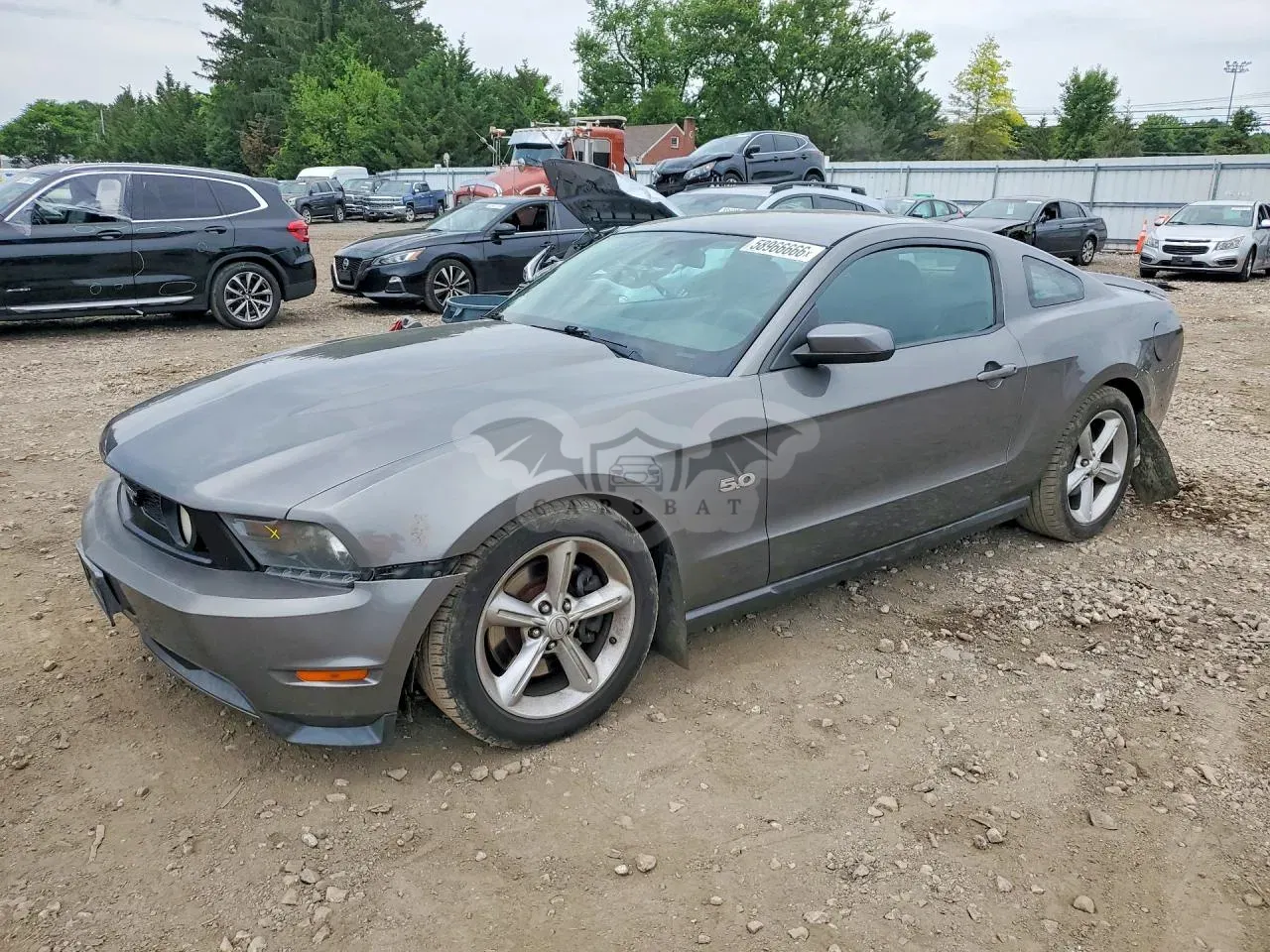 Ford Mustang 5.0L 8 2011