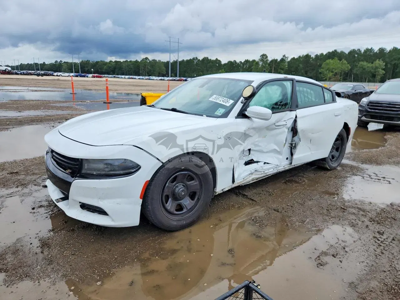 Dodge Charger 5.7L 8 2019