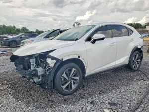 Lexus NX 2.0L 4 2019