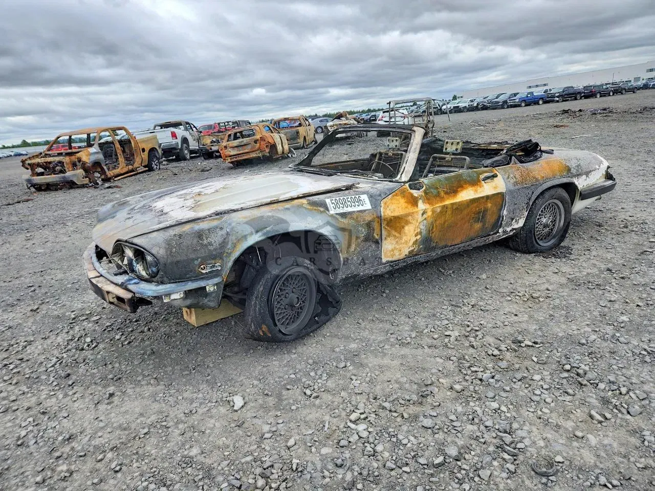 Jaguar XJS 5.3L 12 1989