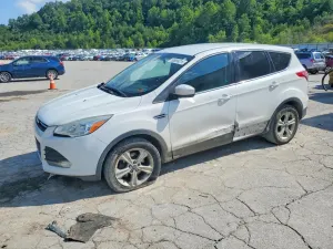 Ford Escape 1.6L 4 2014