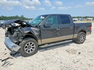 Ford F-150 4.6L 8 2006