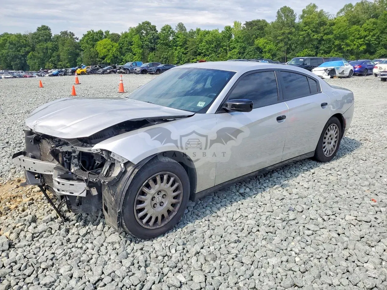 Dodge Charger 5.7L 8 2019