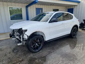 Alfa Romeo Stelvio 2.0L 4 2021