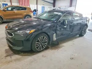 Kia Stinger 2.0L 4 2018