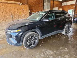 Hyundai Tucson 2.5L 4 2023