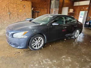 Nissan Maxima 3.5L 6 2010