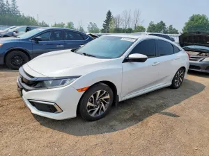 Honda Civic 2.0L 4 2019
